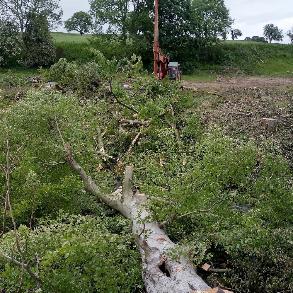 Kelly Arboriculture