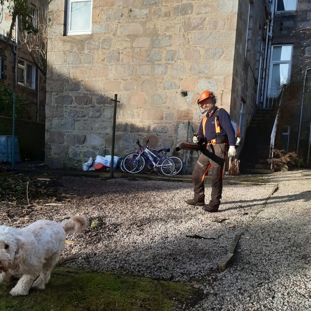 Tree Barbers Scotland