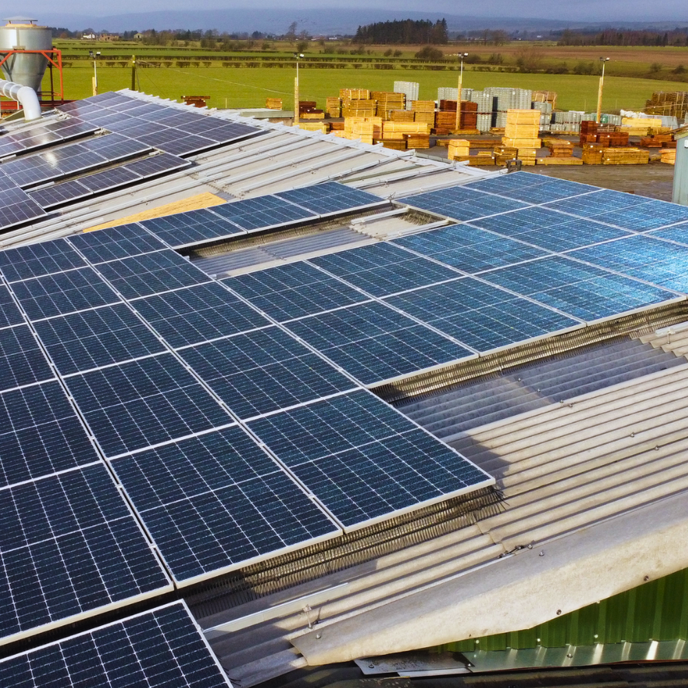 Biosus Energy Ltd