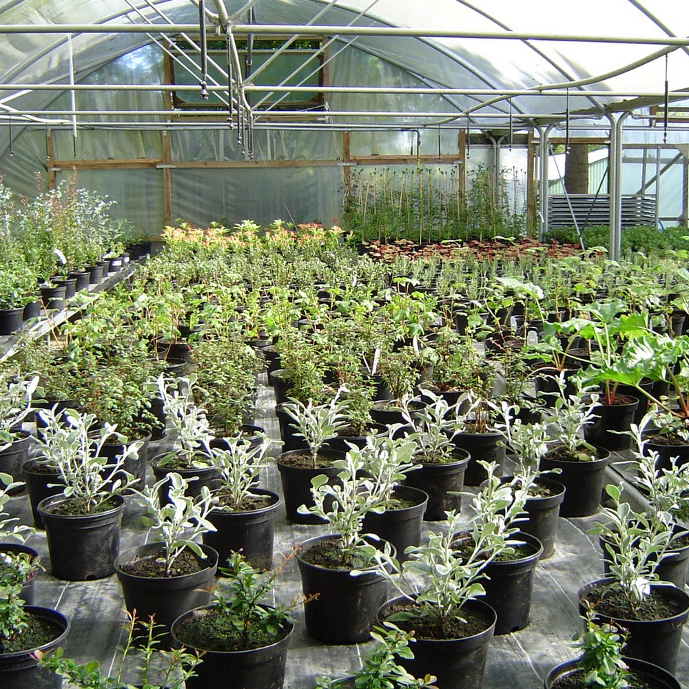 Swailend Nurseries & Garden Centre