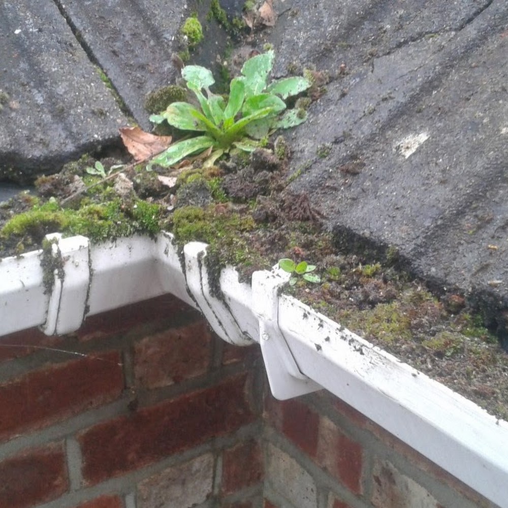 Aberdeen Property Maintenance and Roofing Repairs