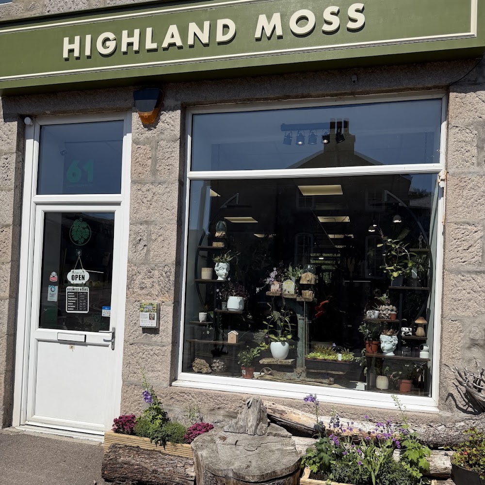 Highland Moss