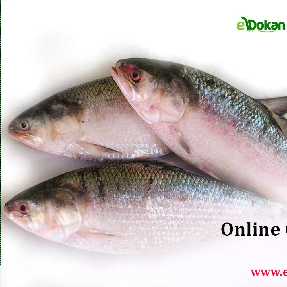 Edokan.co.uk
