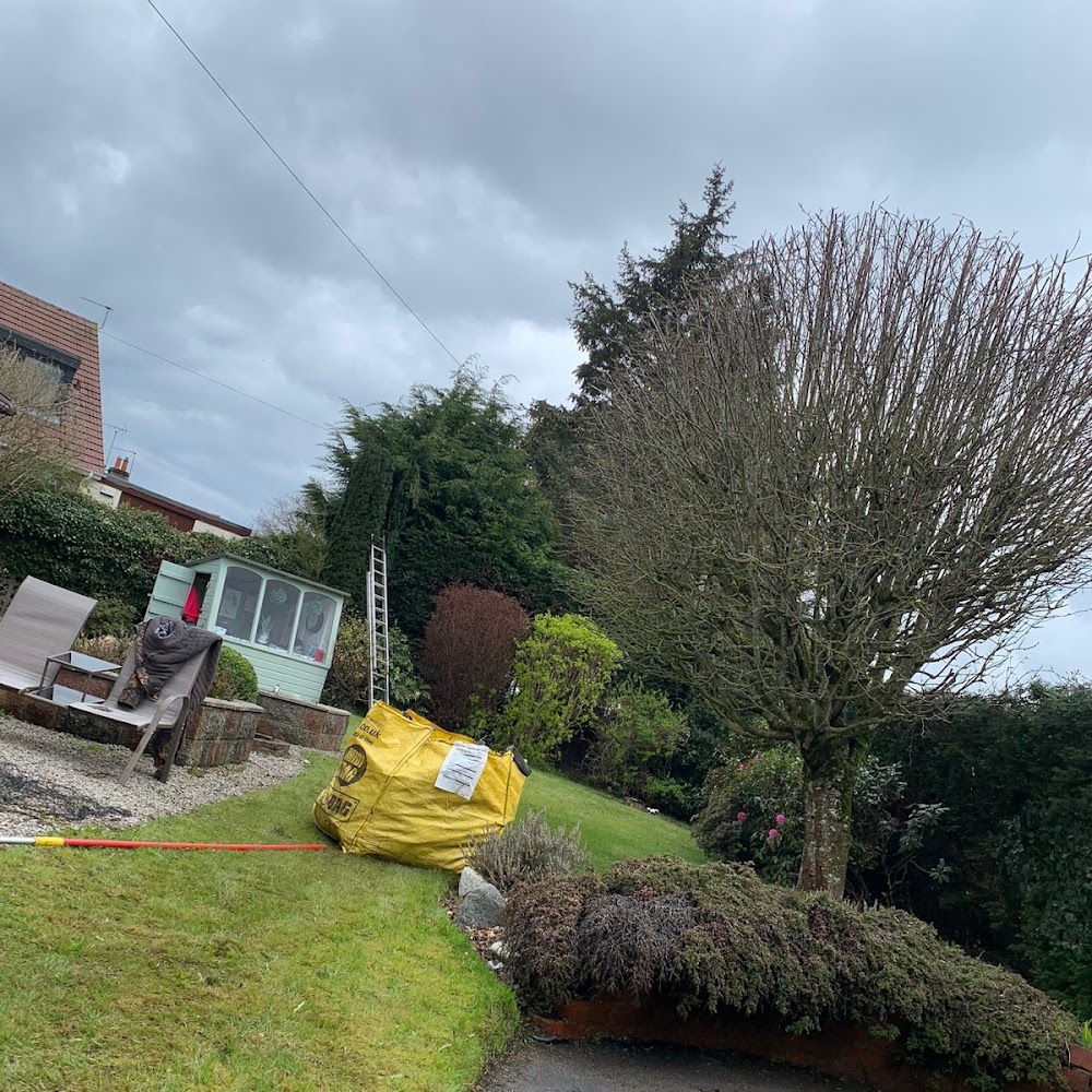J&J tree surgeons