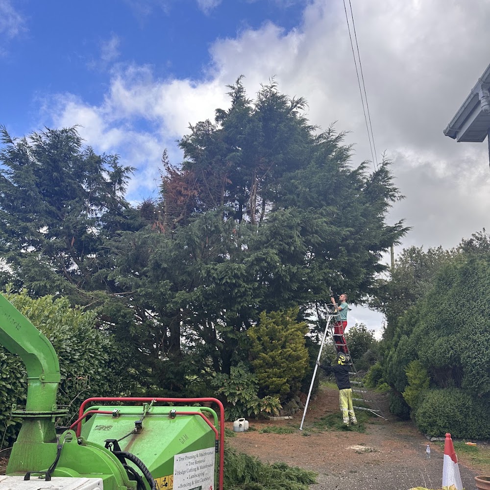 C&M garden tree services