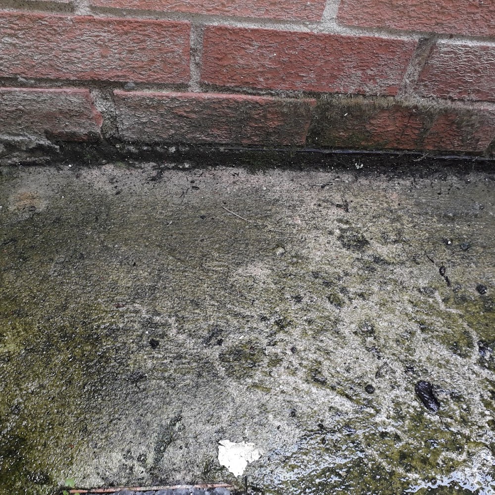 Platinum Preservation NI Dampproofing Belfast and NorthernIreland.