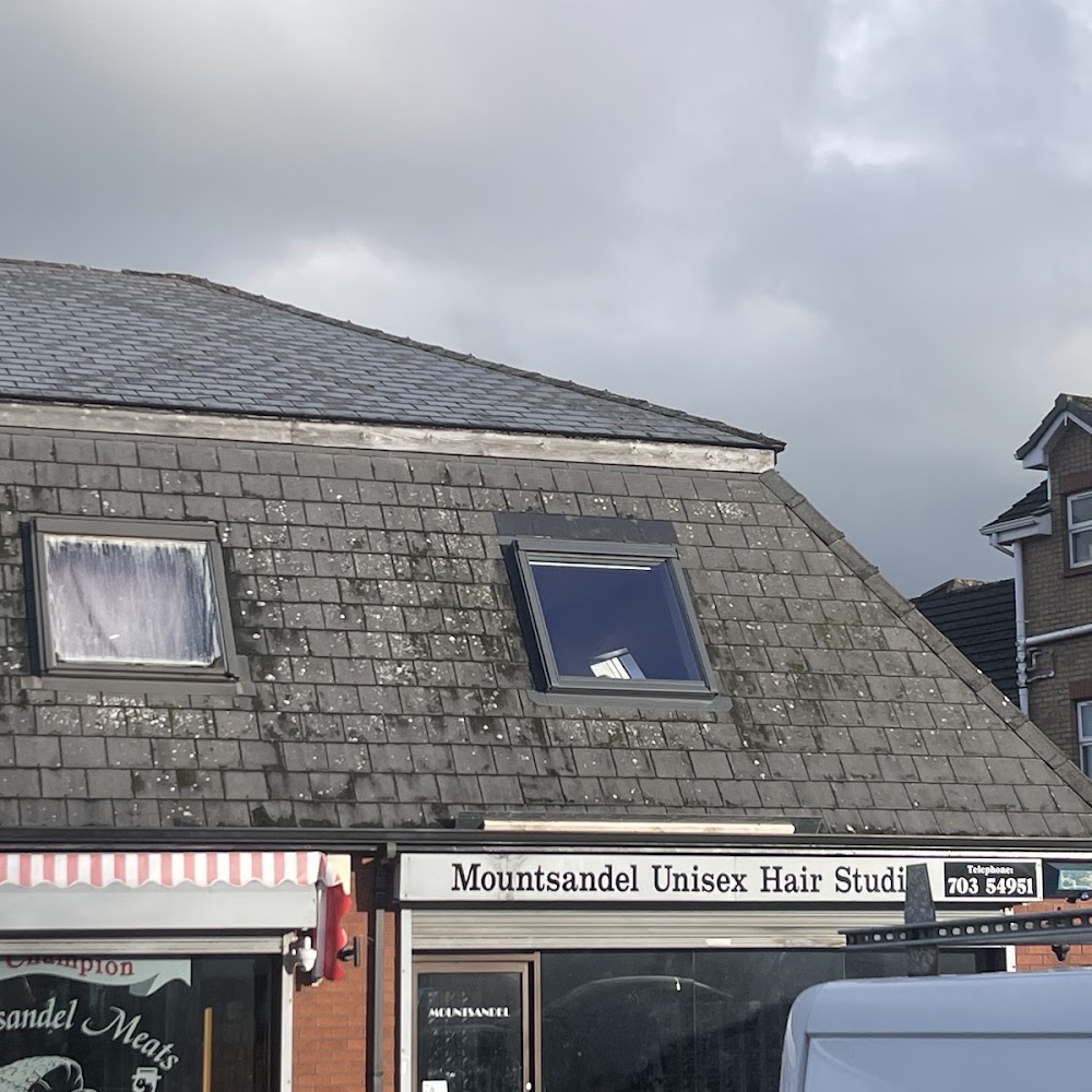 Roof Window Specialists Ltd.