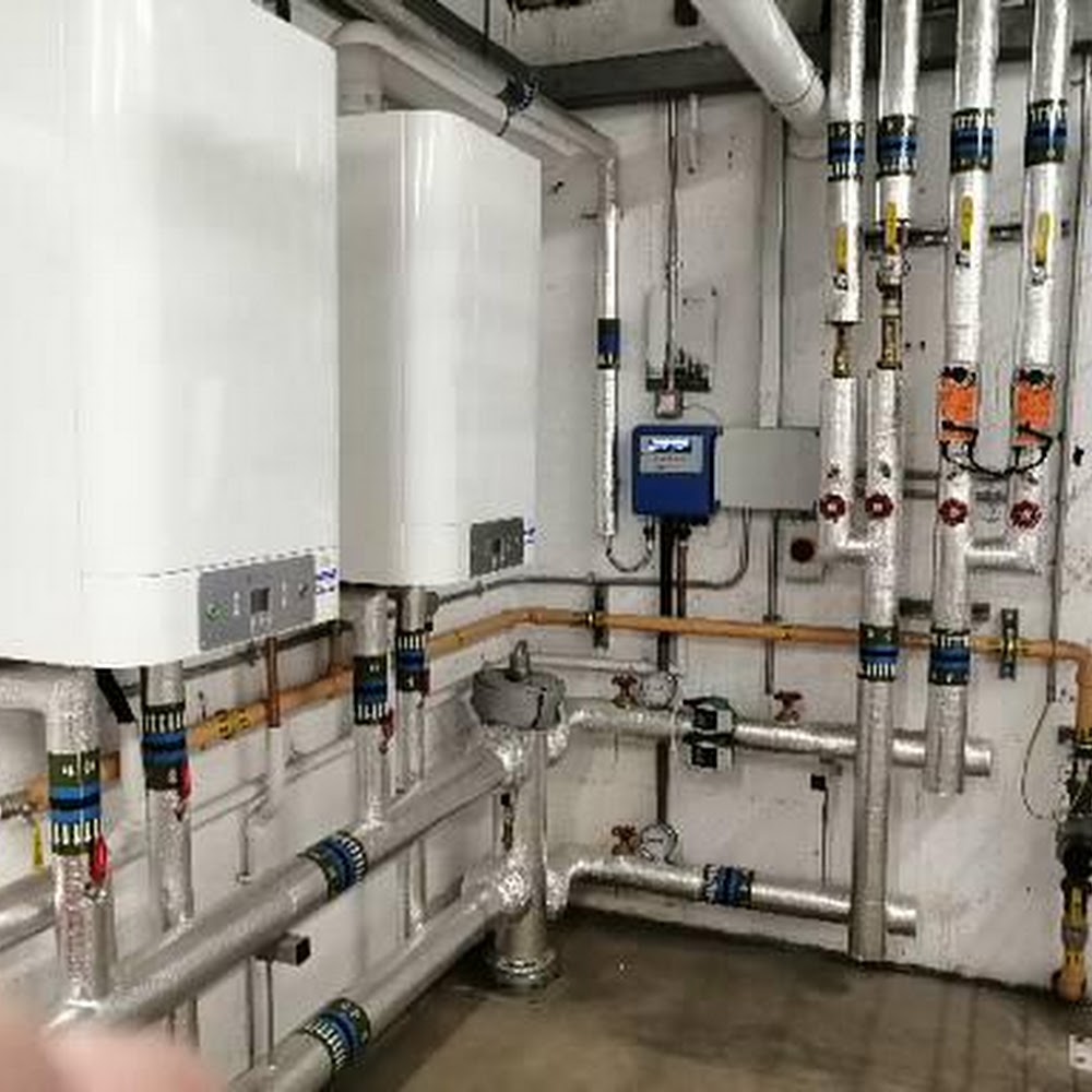 Tri-power Environmental Energy ltd