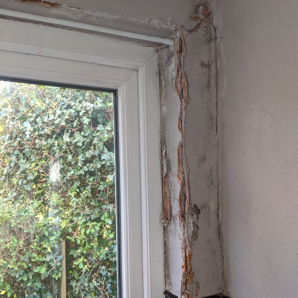 LG DECORATOR