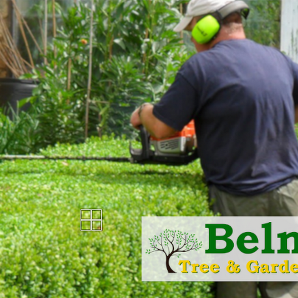 Belmont Tree and Garden Services