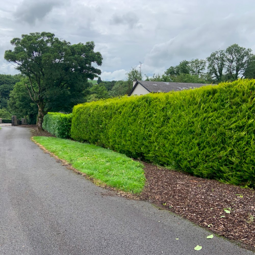 Evergreen Tree Surgery & Landscaping