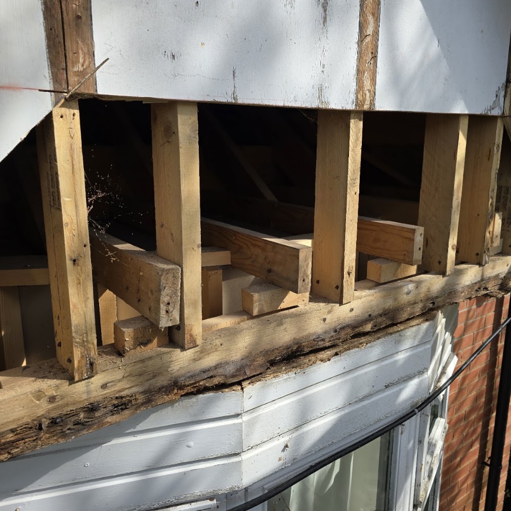 Vertex Carpentry