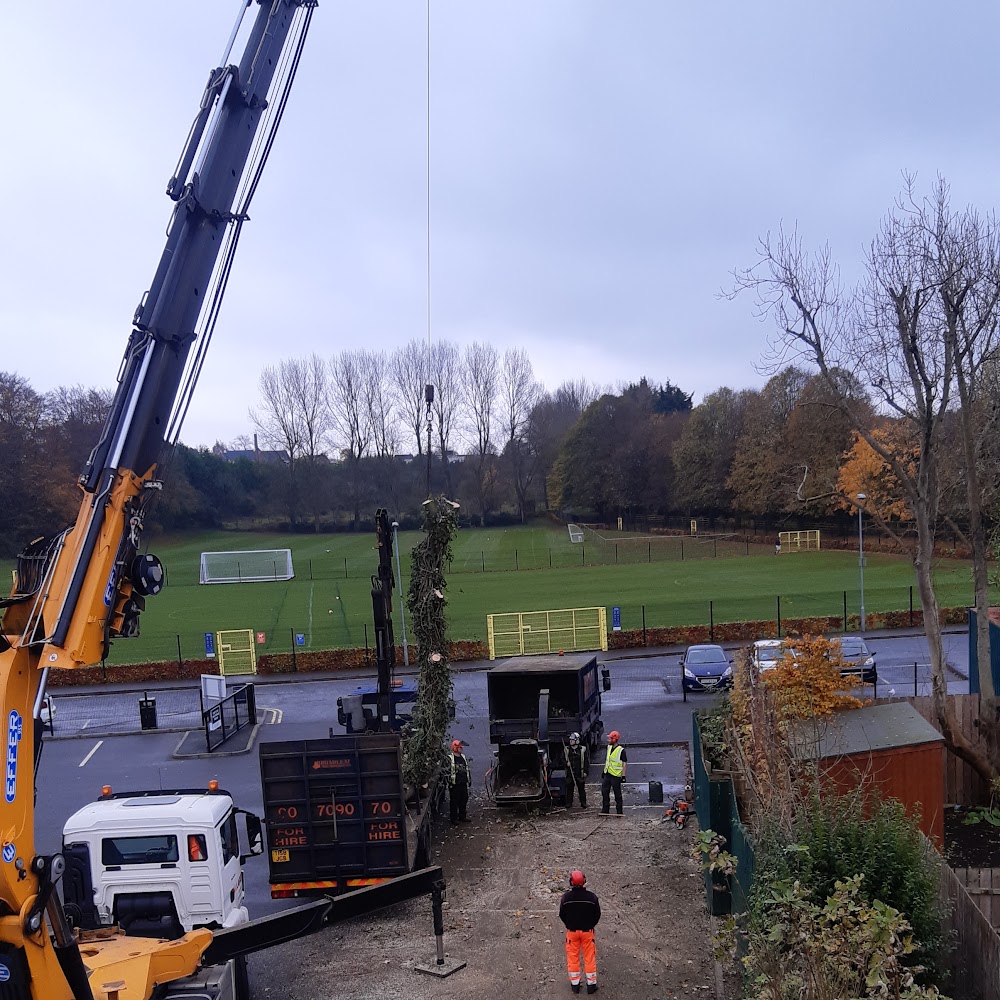 Broadleaf Tree Services | Tree Surgeon Belfast