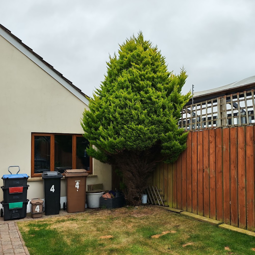 Root & Branch Tree and Garden Services