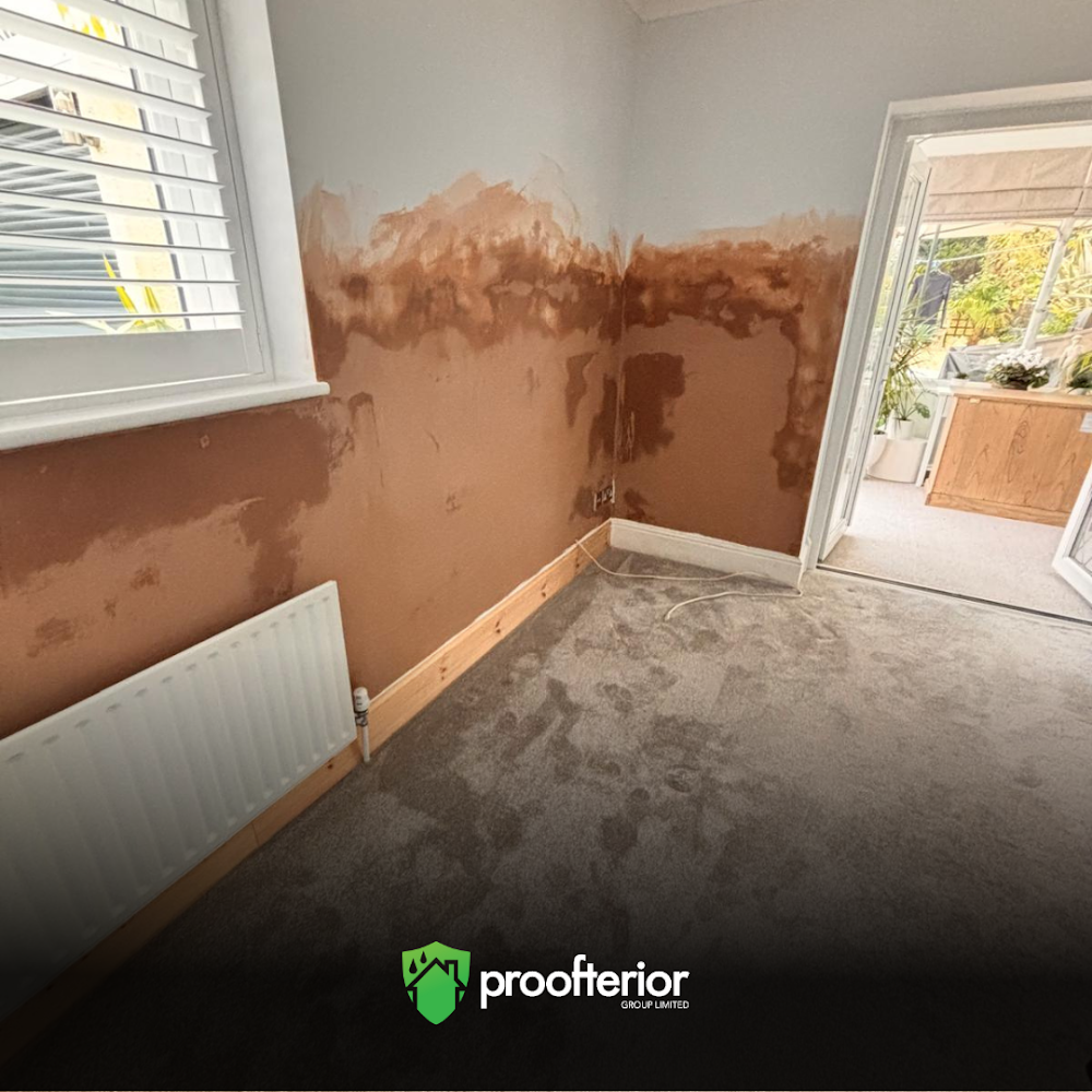 Proofterior - Damp Proofing & EPC Specialists