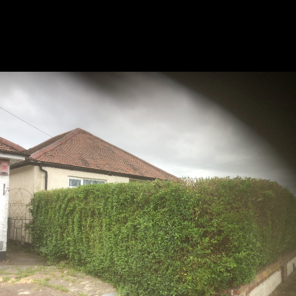 Tree & landscaping