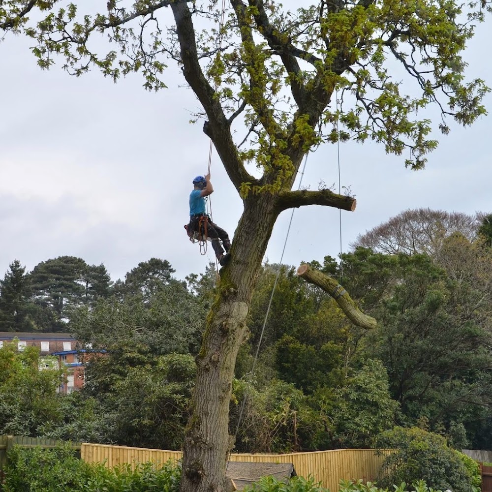 Poole Arbor