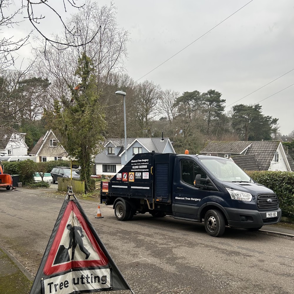 Clearcut Tree Surgery