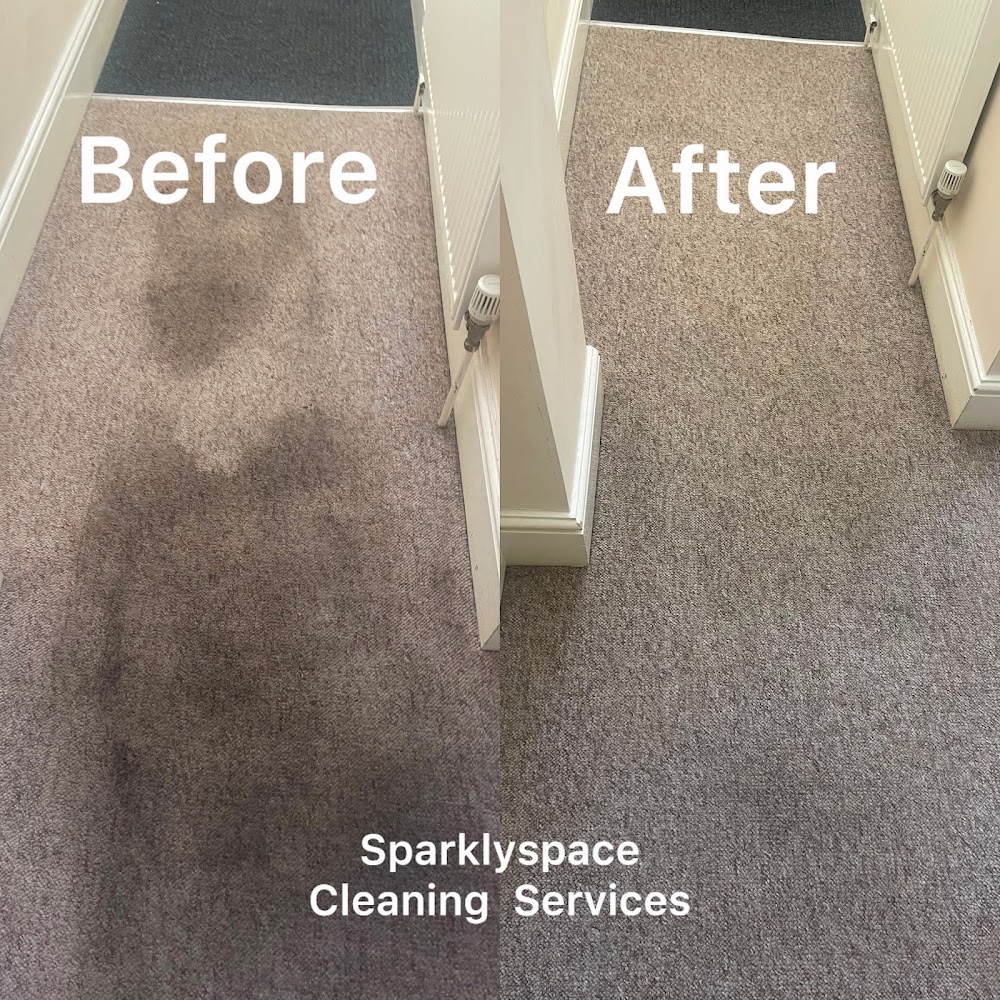Sparkly Space Cleaning Services