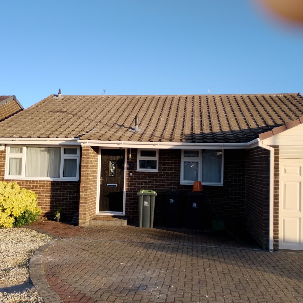 Roof Cleaning & Repairs