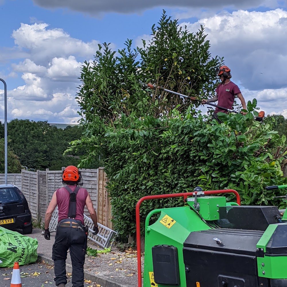 Tree & Garden Services Ltd