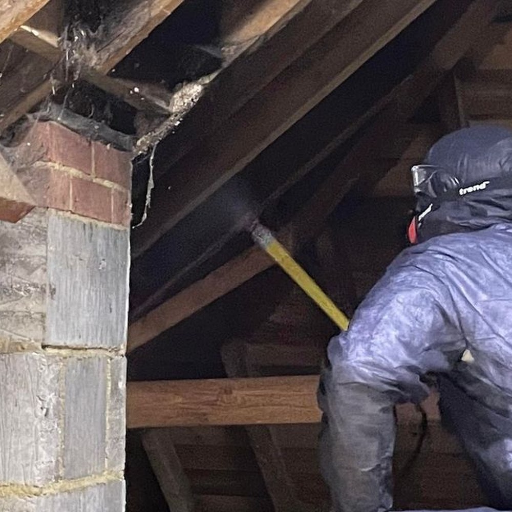 Sussex Specialist Woodworm Treatments