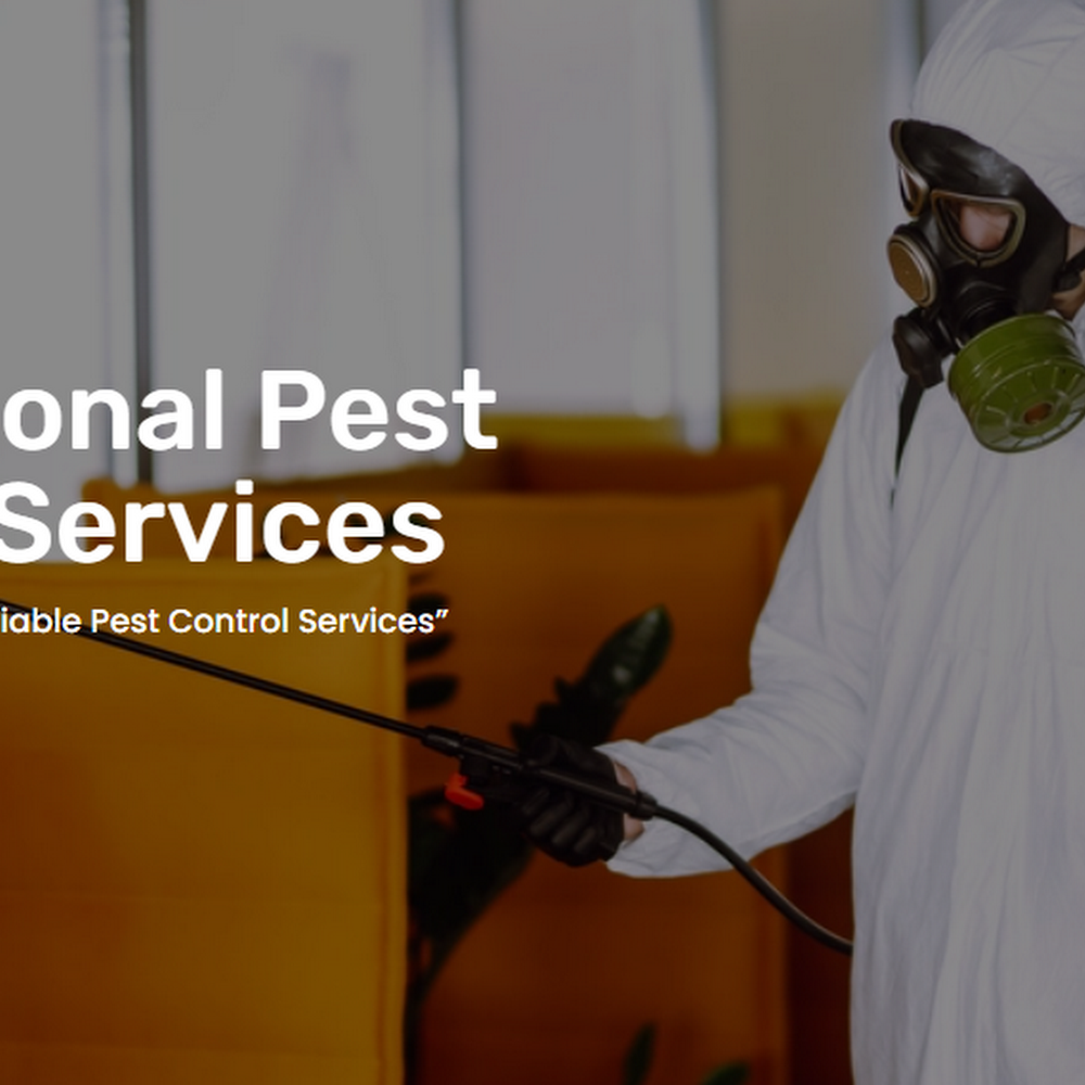 Betapest - Brighton Pest Control