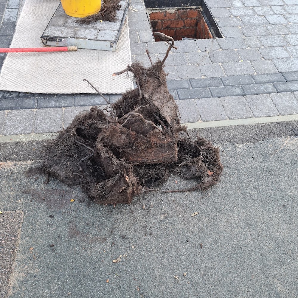 Intercepter Drains Services Ltd