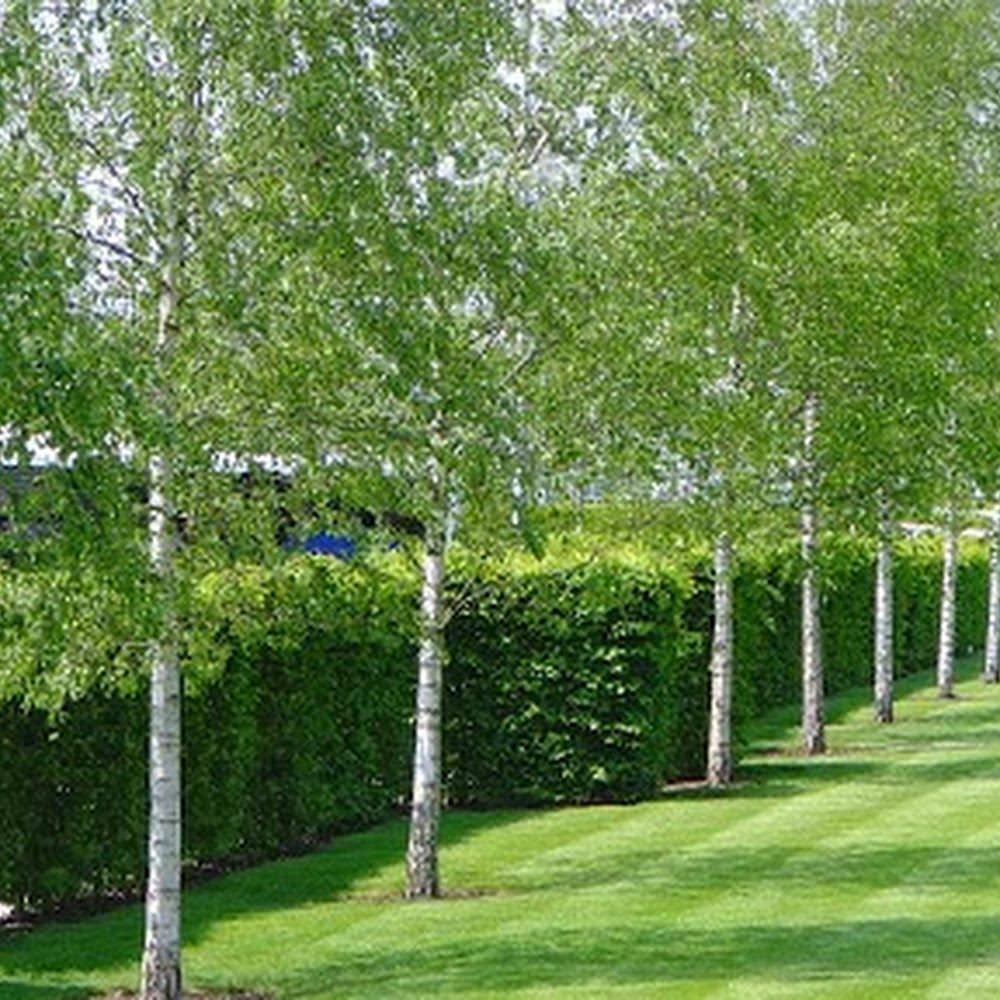 Acre Landscapes Ltd