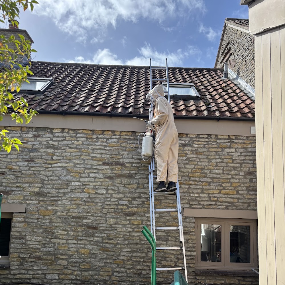 Action Force Pest Control