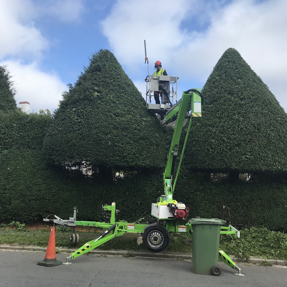 Cole & Sons Tree surgery & Landscaping