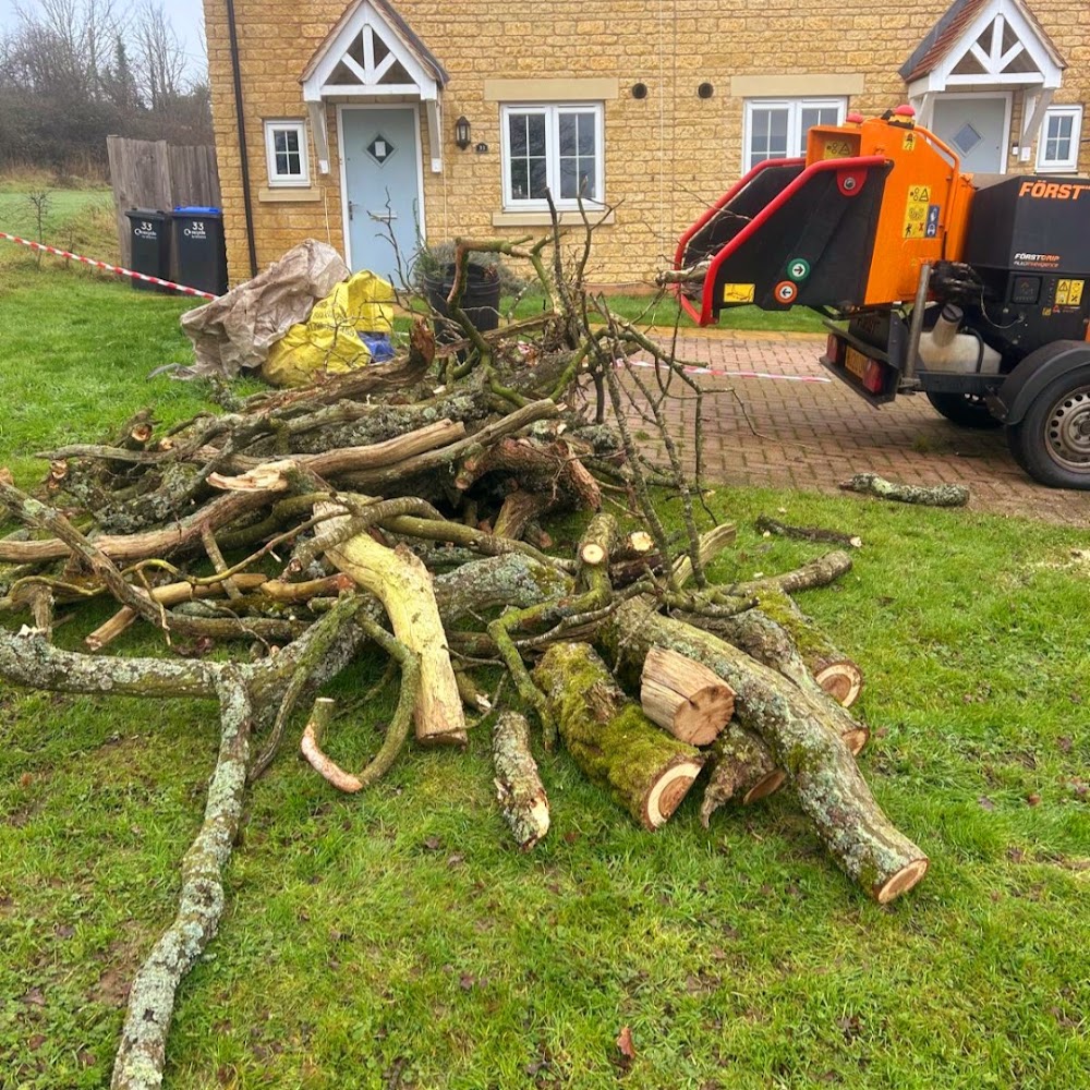 Woodstock Tree Services