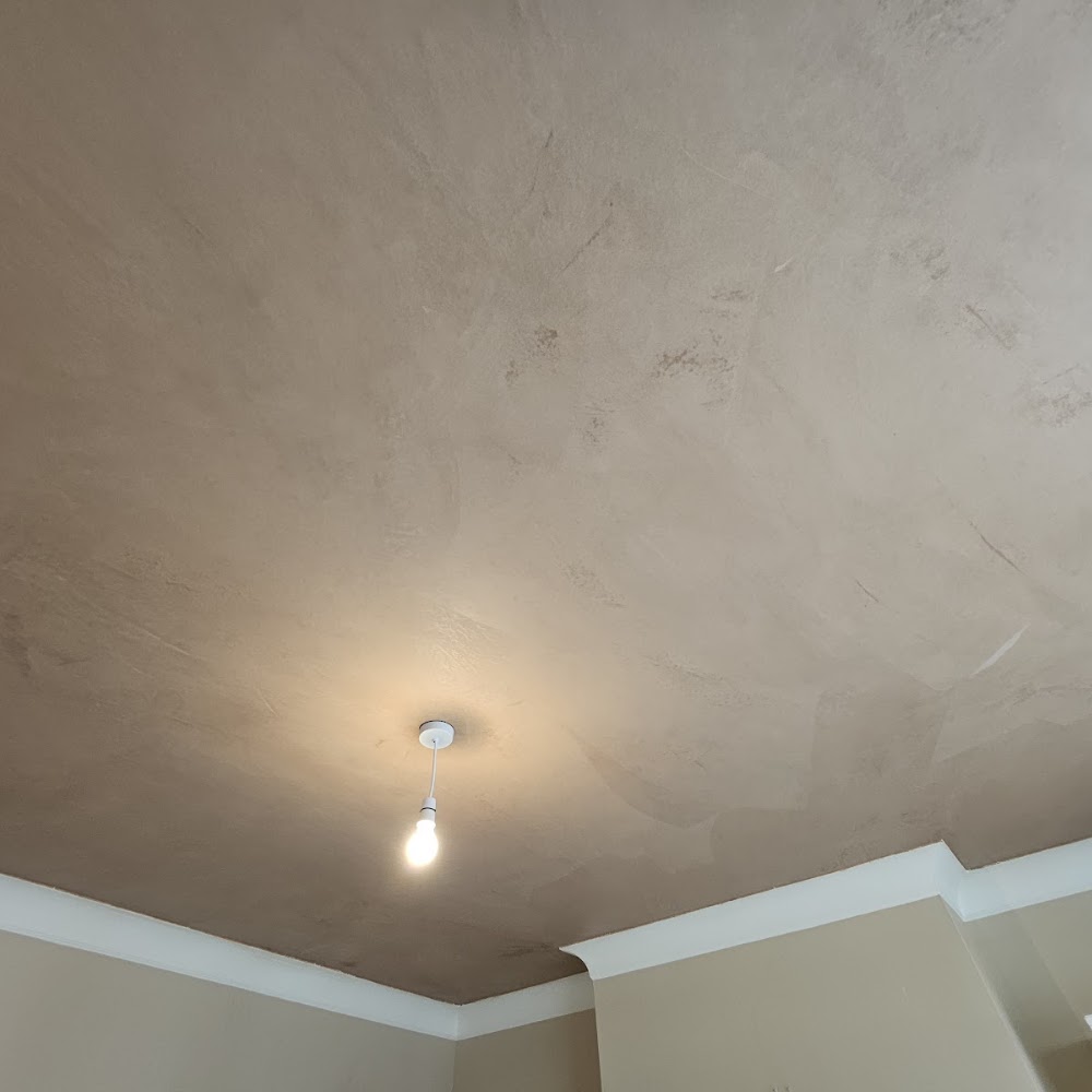SPT Plastering.