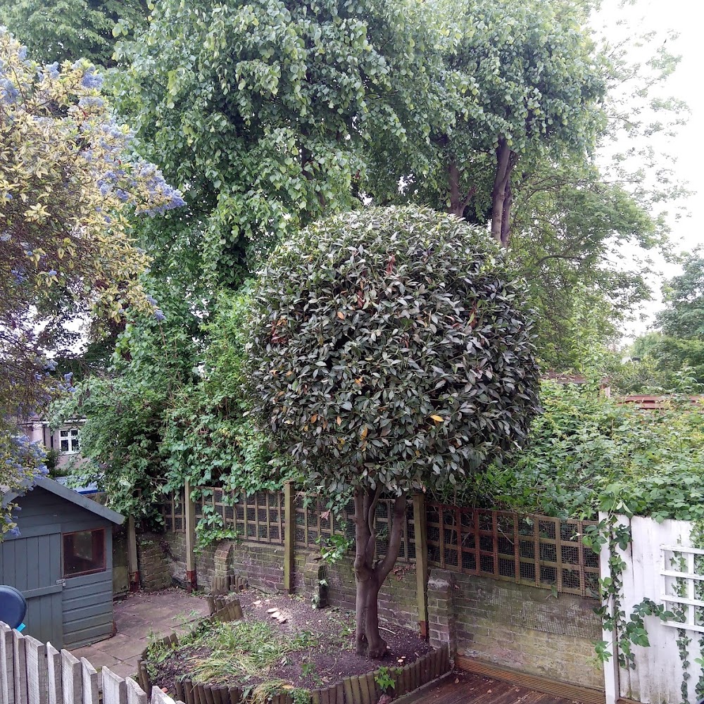 Twigged It Tree Care