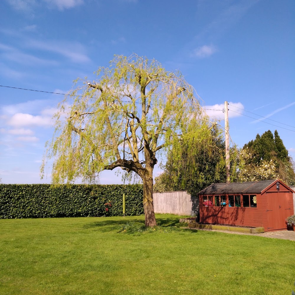 Wildwood Treecare