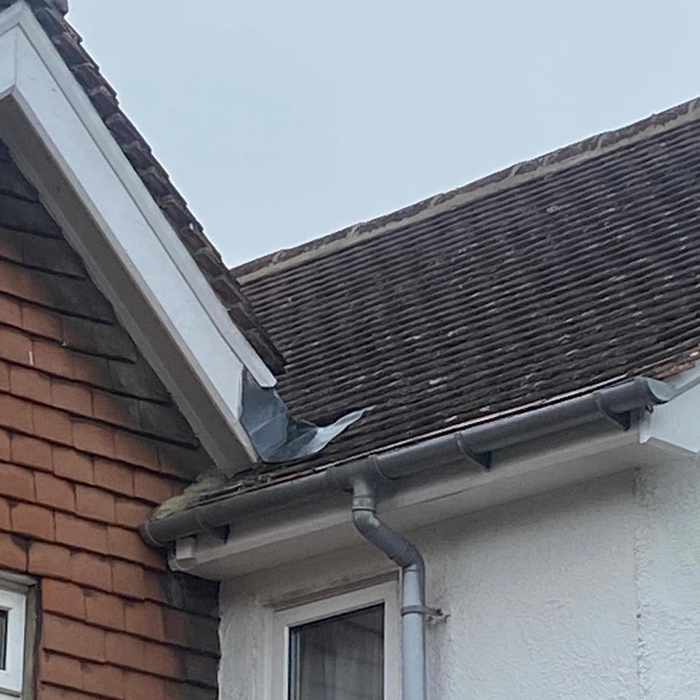 Eagle Building & Roofing Ltd