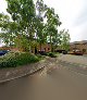 Ash & Pine Tree Services & Garden