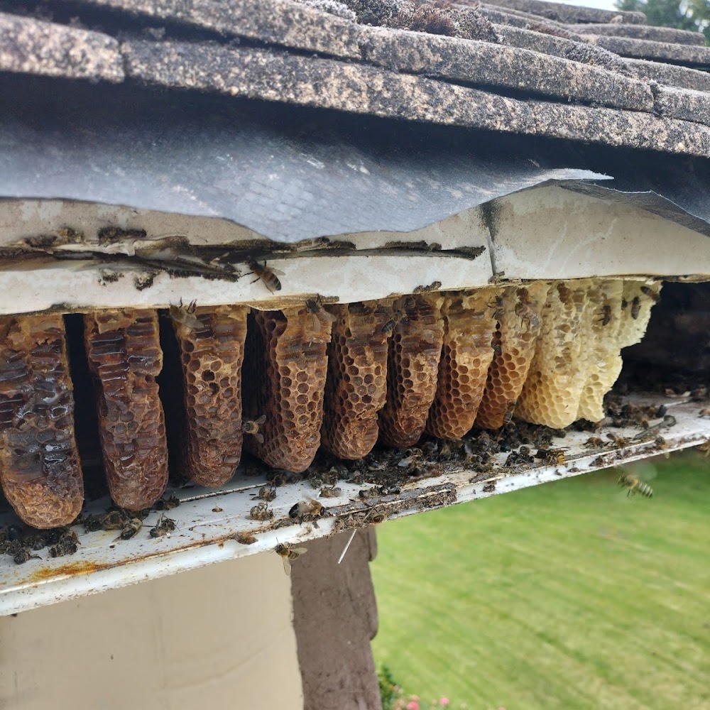 Titan Pest Control Cardiff