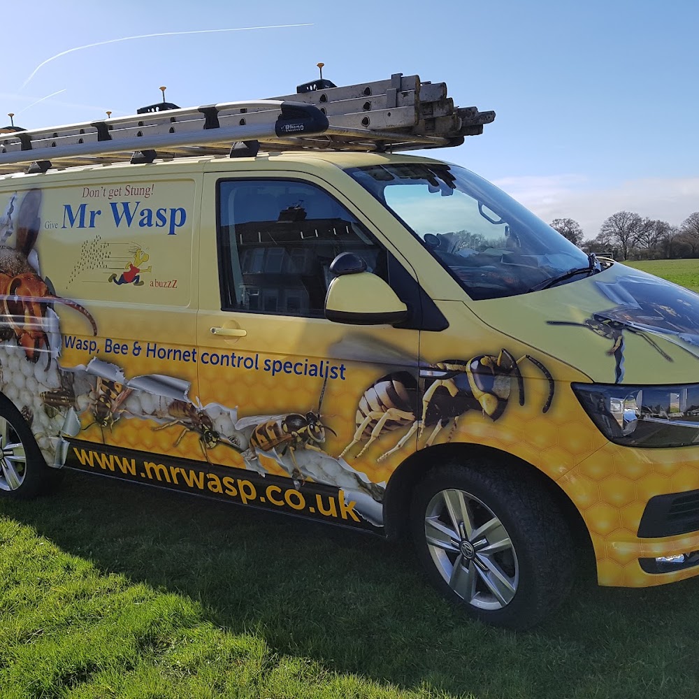 Mr Wasp