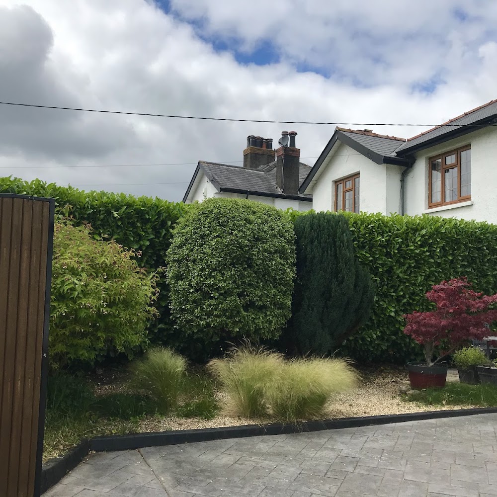Hedge Trimming Cardiff | DLM Tree Services