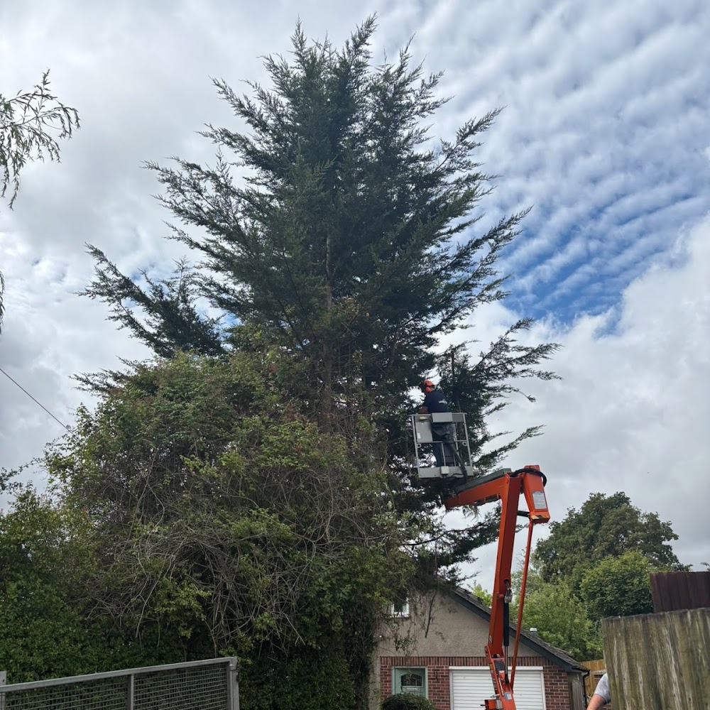 Greenleaf Tree & Property Services