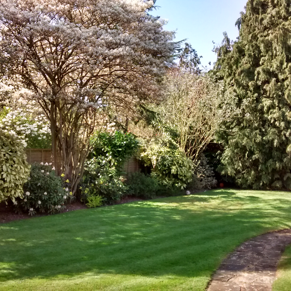 Llanishen Landscapes - Garden Maintenance, Jet Washing & Gutter Cleaning