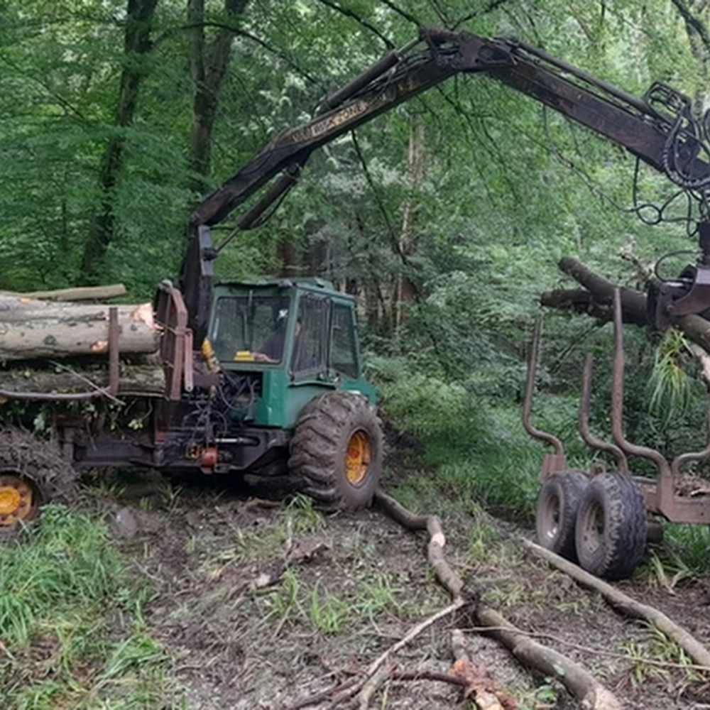 Westhill Forestry & Tree Services