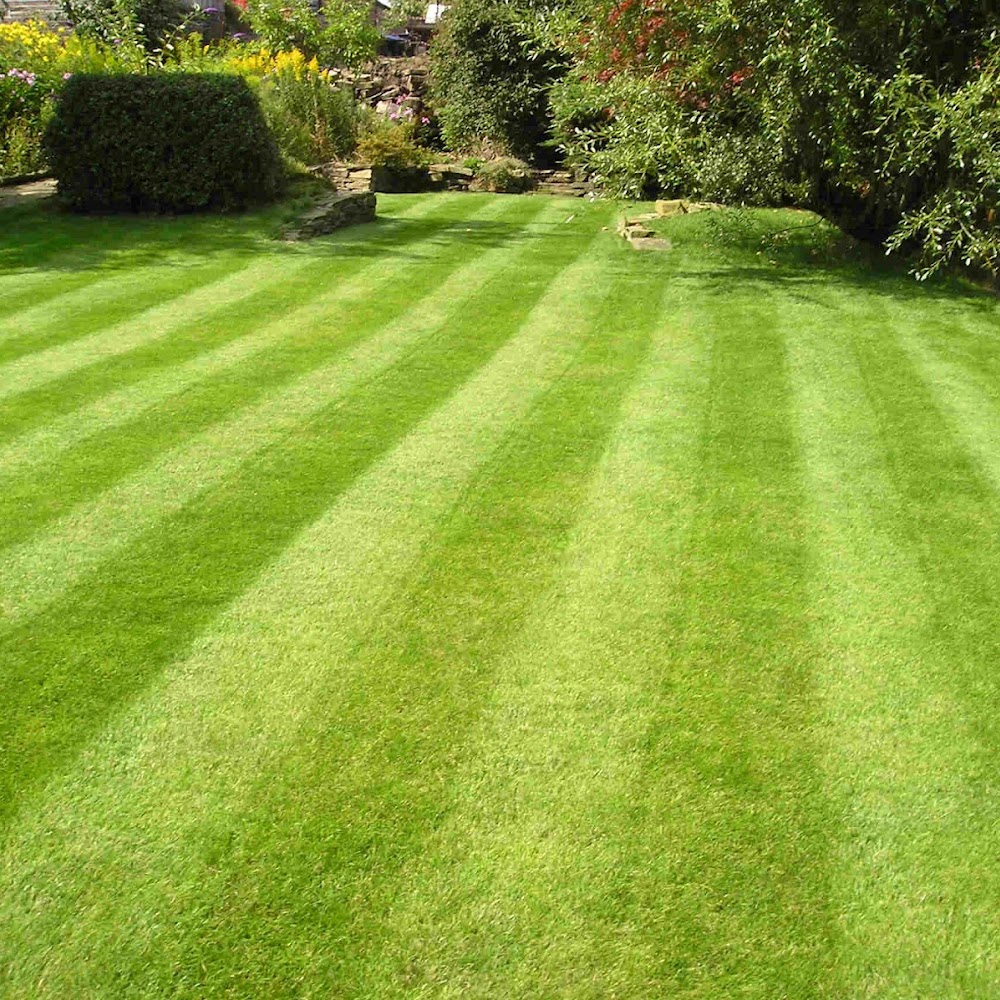 Organic Gardening Services