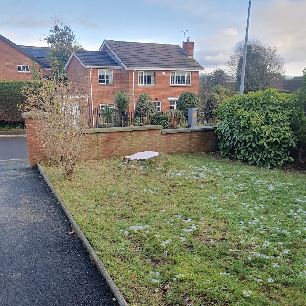 Pellipar Tree Services
