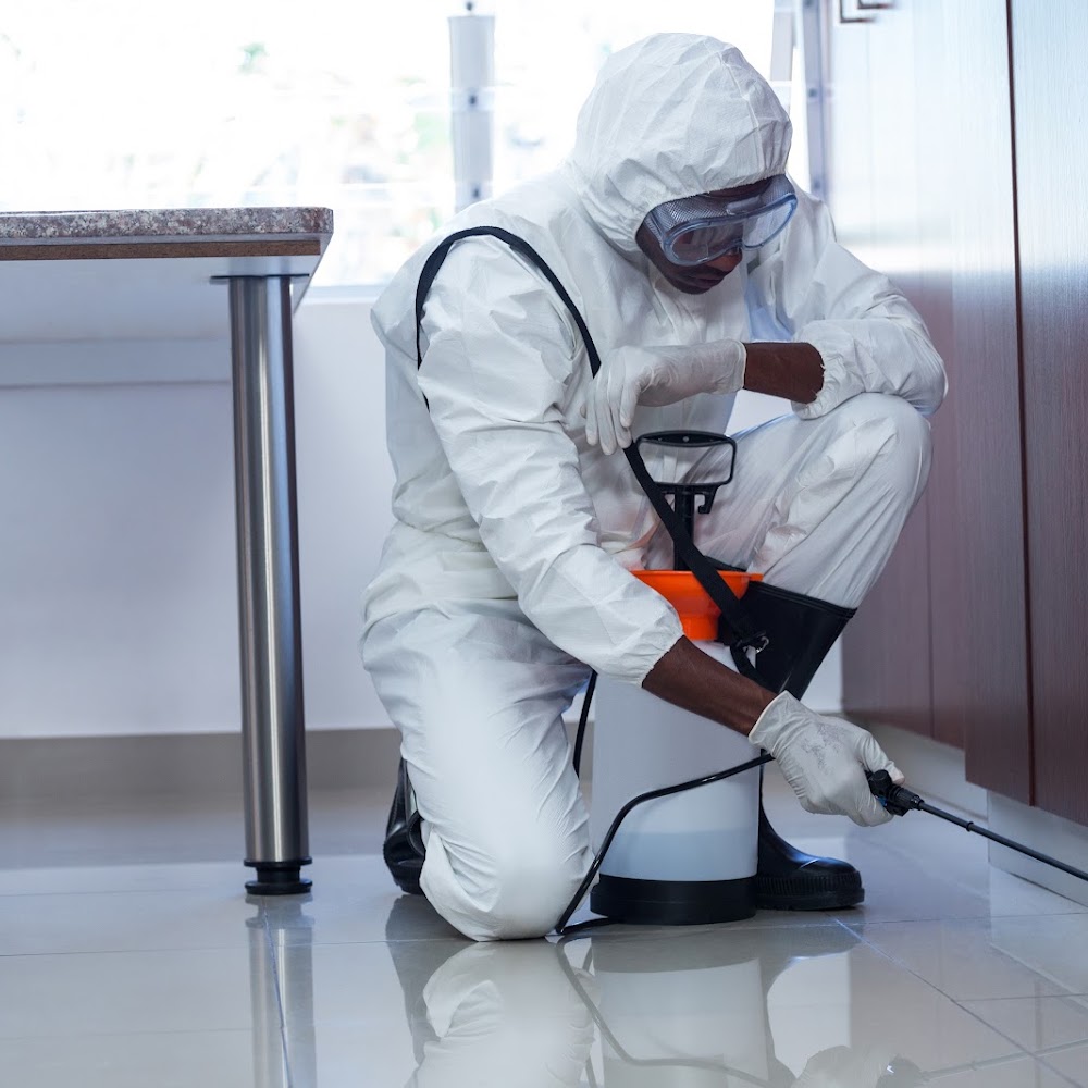 Pest Control NI