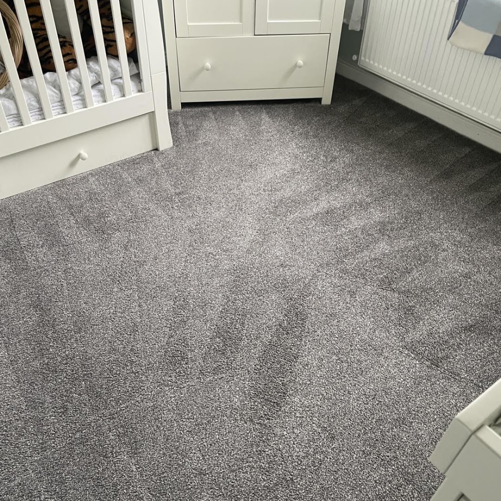 Easy Clean Carpet and Upholstery Cleaning