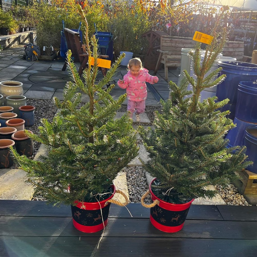 Springrowth Garden Centre