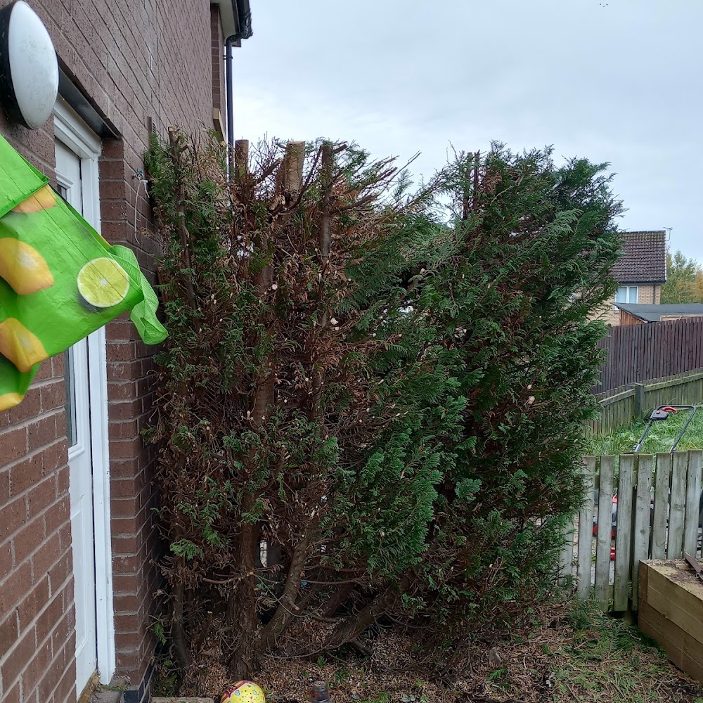 Abertay Gardening Services