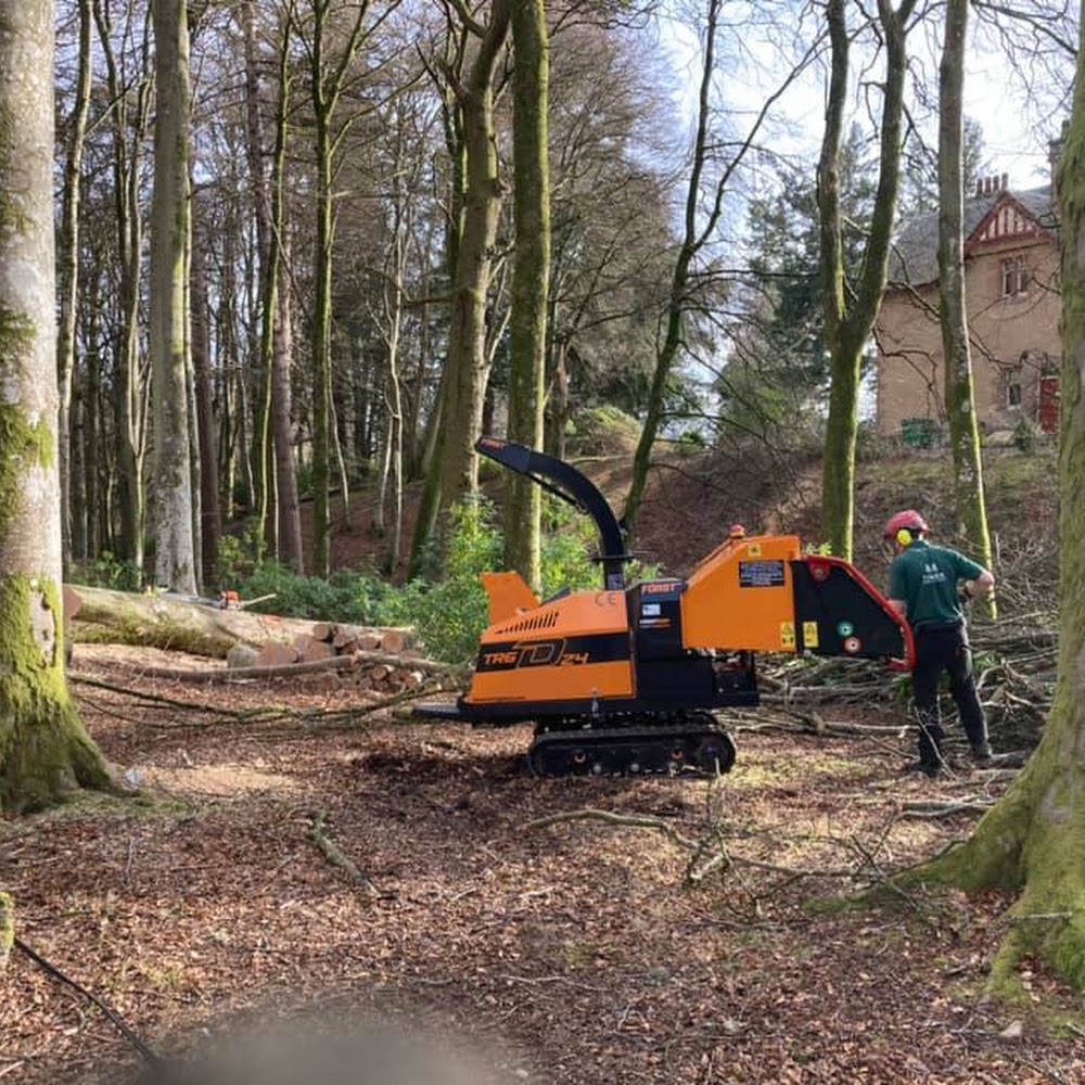Timber Tree Surgery Ltd